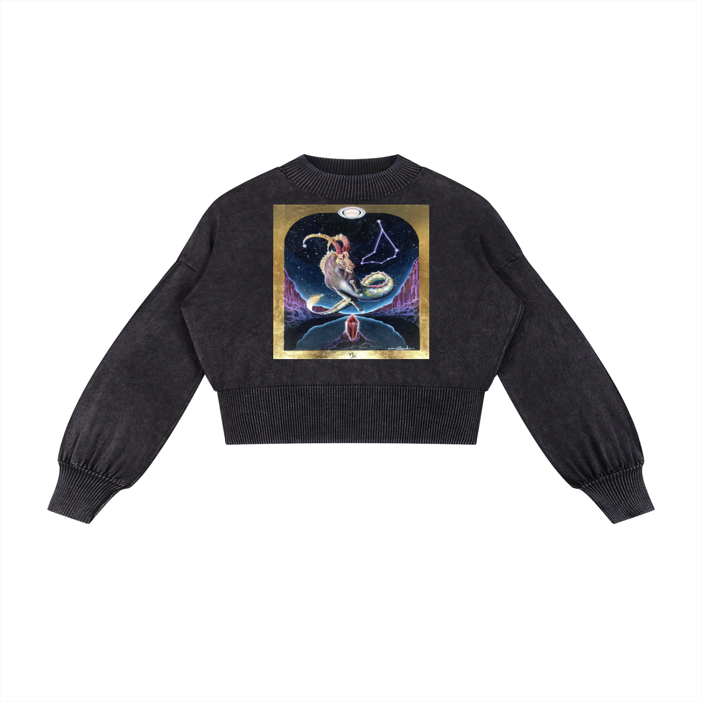Capricorn Cropped Sweater